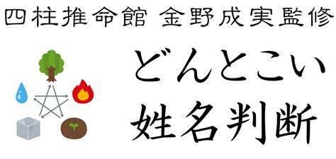 地格 17画|地格（地運）の意味と計算方法：二十代までの若年期に影響する。